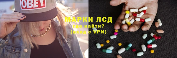 ПСИЛОЦИБИНОВЫЕ ГРИБЫ Абаза