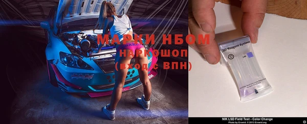 ПСИЛОЦИБИНОВЫЕ ГРИБЫ Абаза