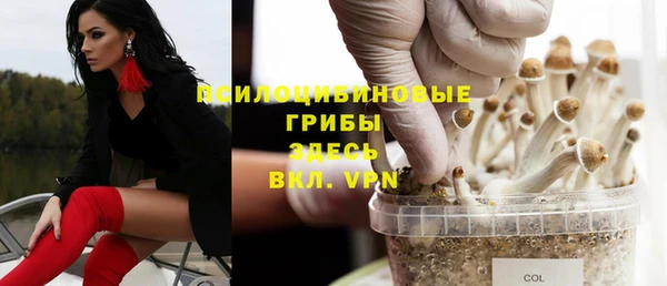 ПСИЛОЦИБИНОВЫЕ ГРИБЫ Абаза
