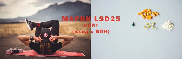 прущие грибы Абдулино