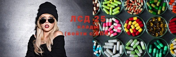 прущие грибы Абдулино