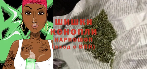 ПСИЛОЦИБИНОВЫЕ ГРИБЫ Абаза